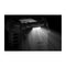 Instinct 3 50mm Solar Tactical
