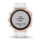 fenix 6s Pro