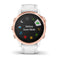 fenix 6s Pro
