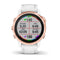 fenix 6s Pro