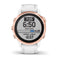 fenix 6s Pro