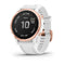 fenix 6s Pro