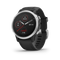 fenix 6s Pro