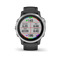 fenix 6s Pro