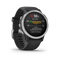 fenix 6s Pro