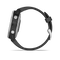 fenix 6s Pro