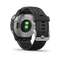 fenix 6s Pro
